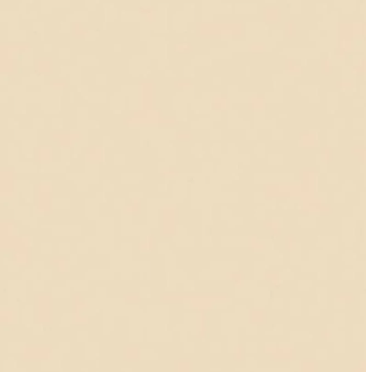 Pure Solids Art Gallery Baumwollstoff Popeline Latte Patchwork